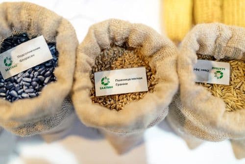 AgroWorld Qazaqstan