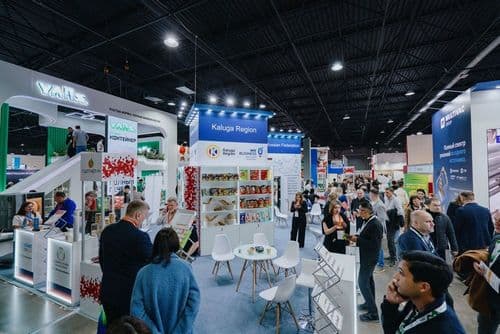 Галерея Iteca